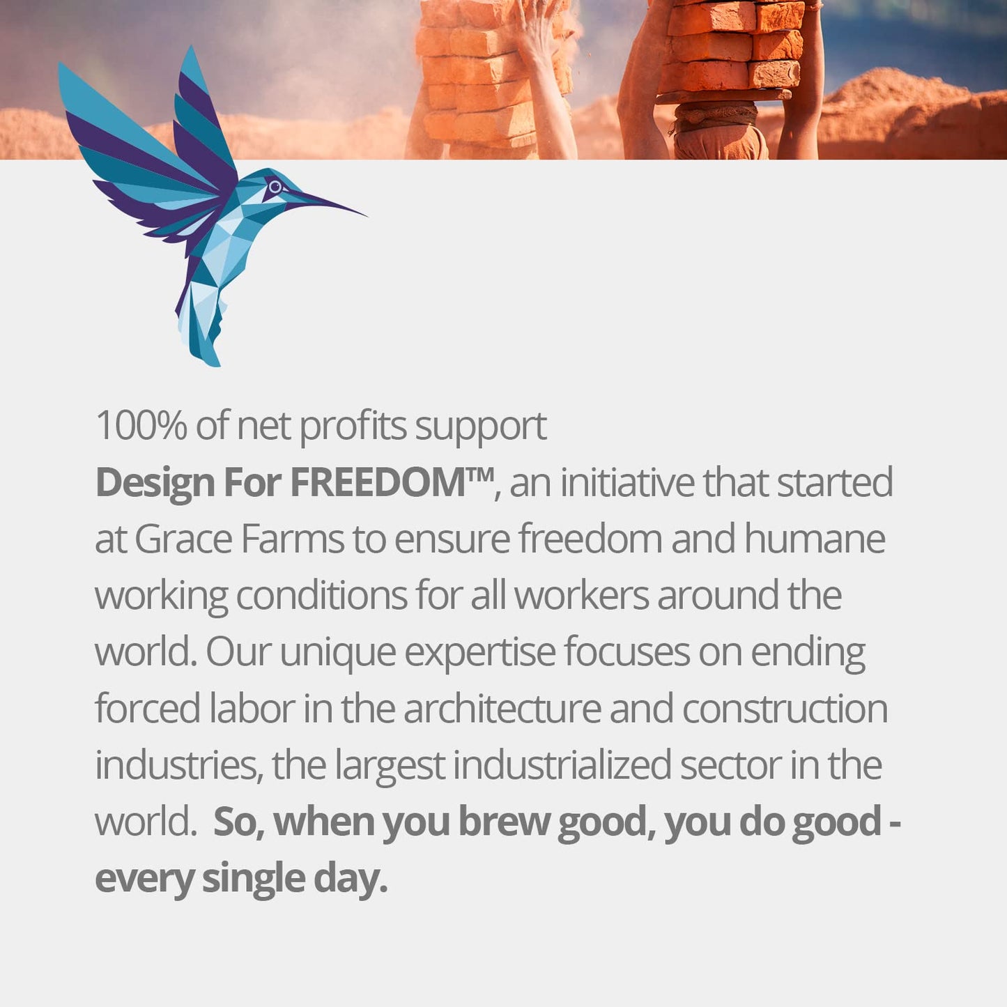 Grace Farms Shine Wellness Organic Tea Blend (50 Pyramid Sachets) | Hydrating Tea For Skin and Detox | Rooibos, Rosehips, Hibiscus, Tulsi, Haritaki | Fairtrade and Kosher | Gives Back 100% of Profits