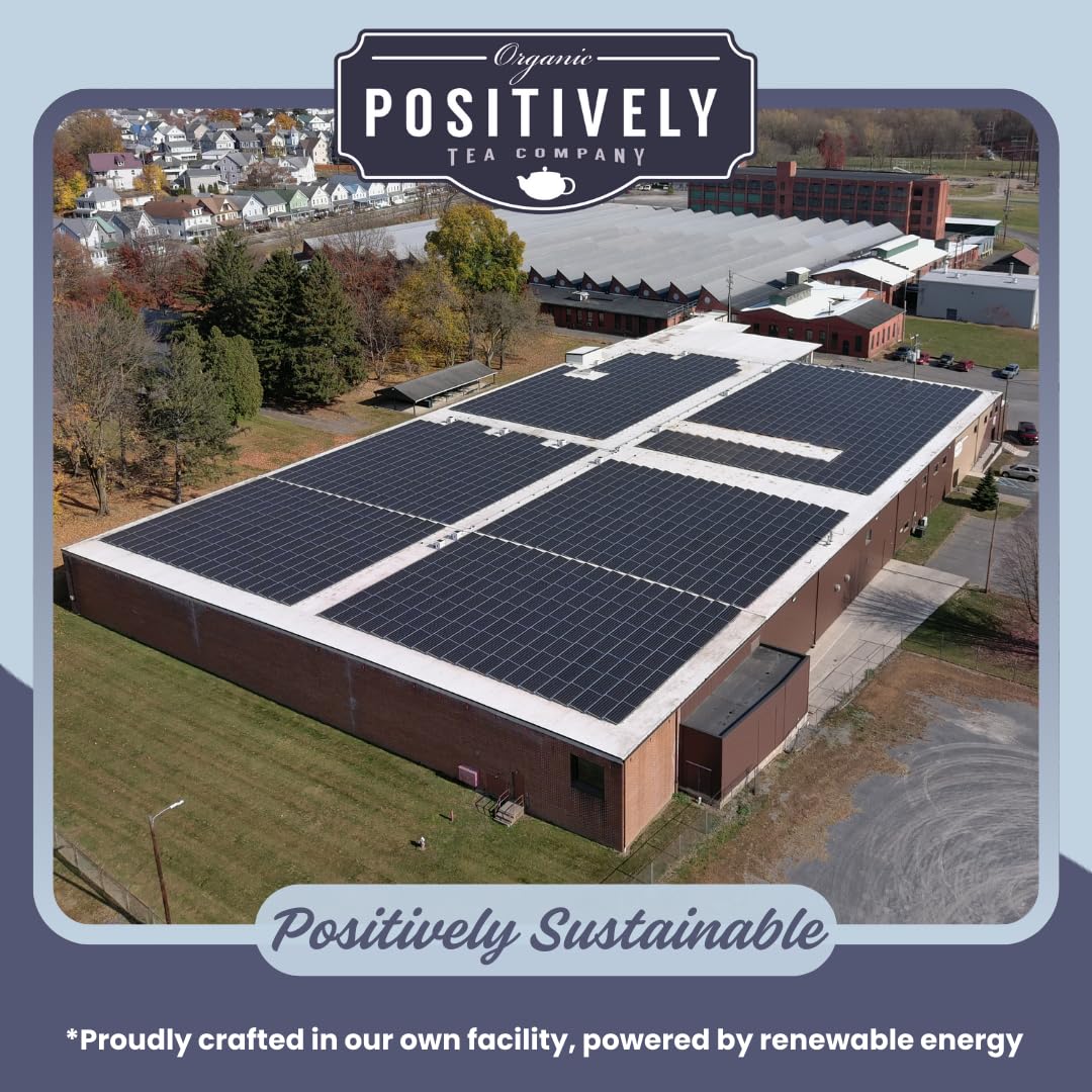 Organic Positively Tea Company, White Tea Sampler, Loose Leaf, 4 Ounce, 3 Pack