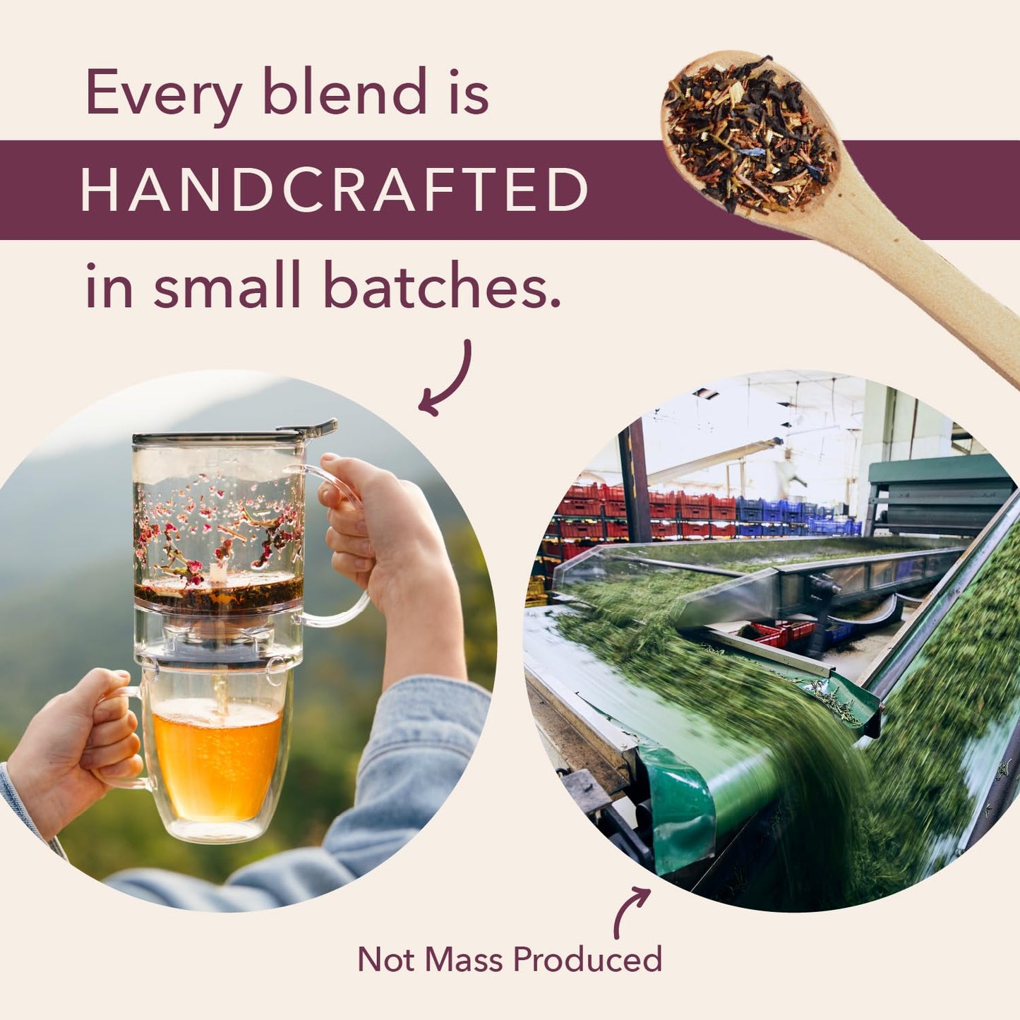 Moonlit Garden Collection Assorted Herbal Tea Gift Set - Hand-Crafted Loose Leaf Teas, Presentation Gift Box with Loose Leaf Steeper Included, Sleepytime Tea - 5 Unique and Flavorful Teas, 75+ Cups