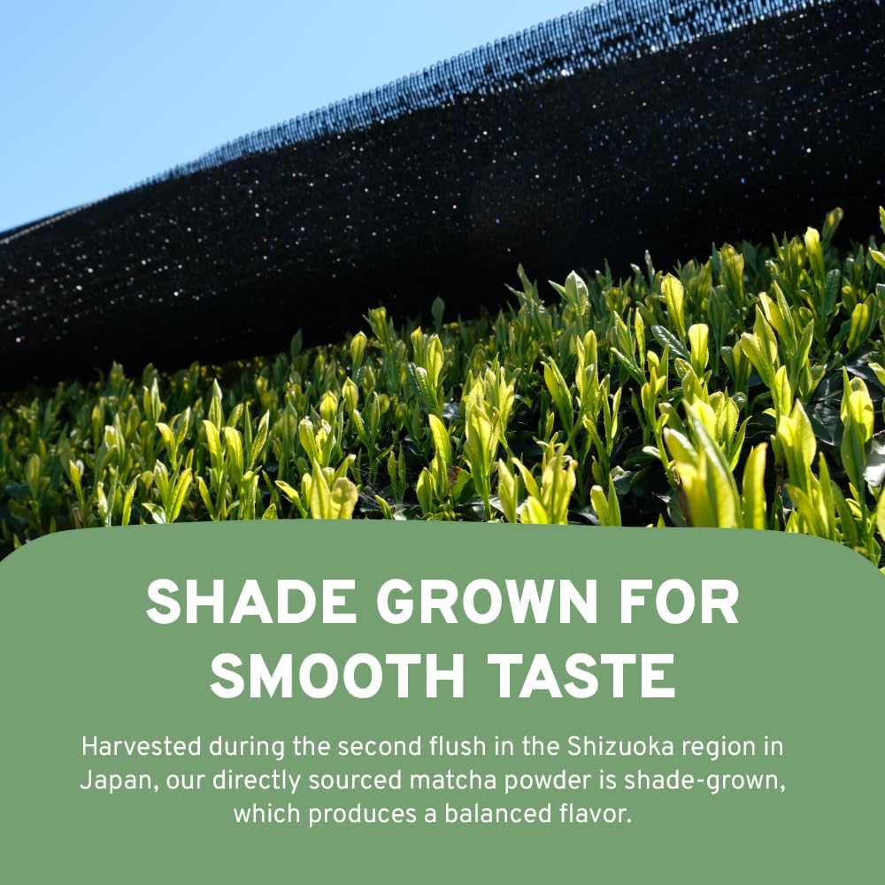 HANDPICK Japanese Organic Matcha Green Tea Powder (100 Servings) - Authentic Premium Second Flush Harvest | Resealable Ziplock Pouch