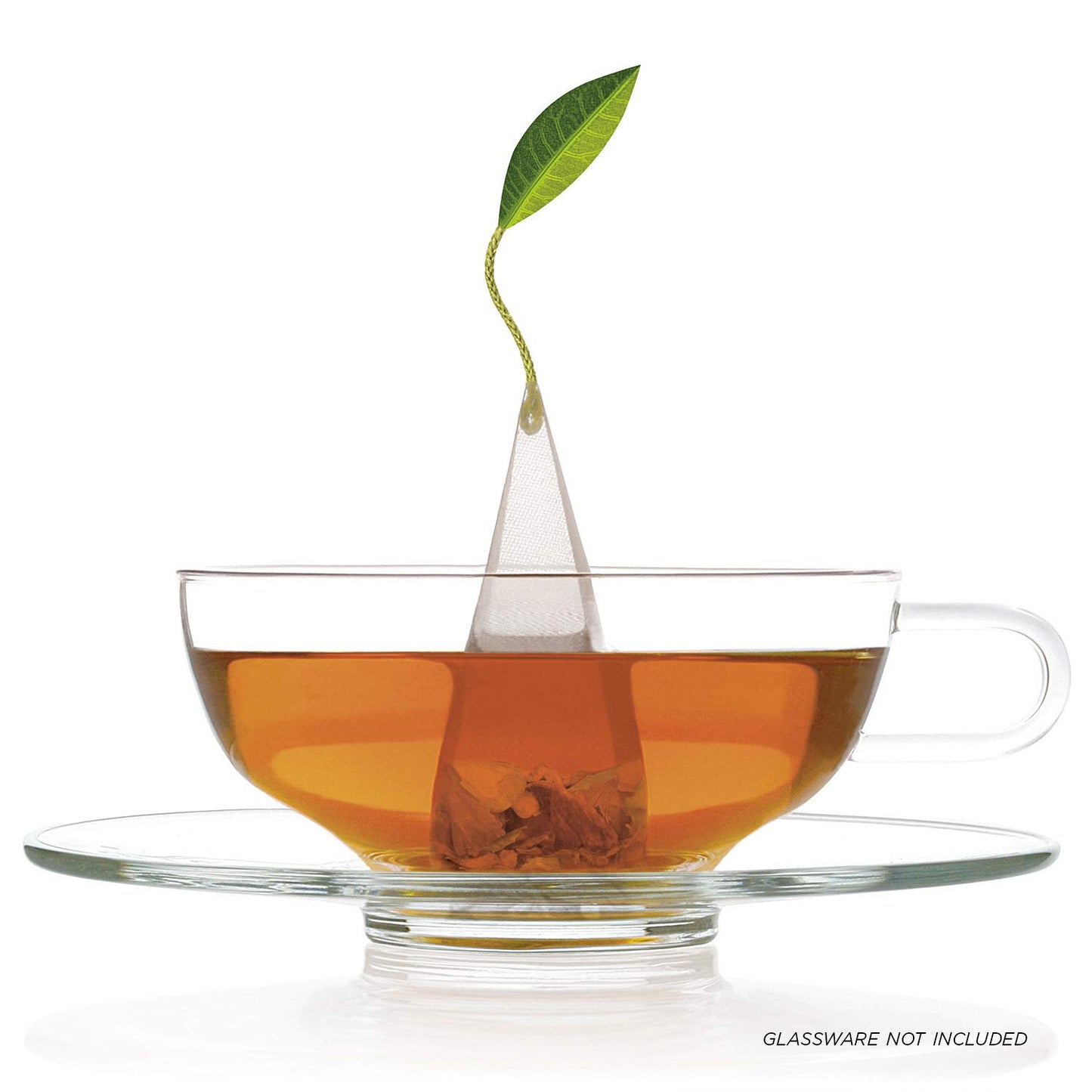 Tea Forte Pumpkin Spice Black Tea Petite Presentation Box Tea Gift Set Sampler, 10 Individually Wrapped Handcrafted Pyramid Infuser Bags