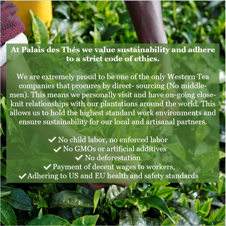 Palais des Thés - Alizes Winds Tea - Green Tea, Peach & Orange Blossom - 3.5oz Loose Leaf Metal Gift Tin, Serves 20-25 Cups