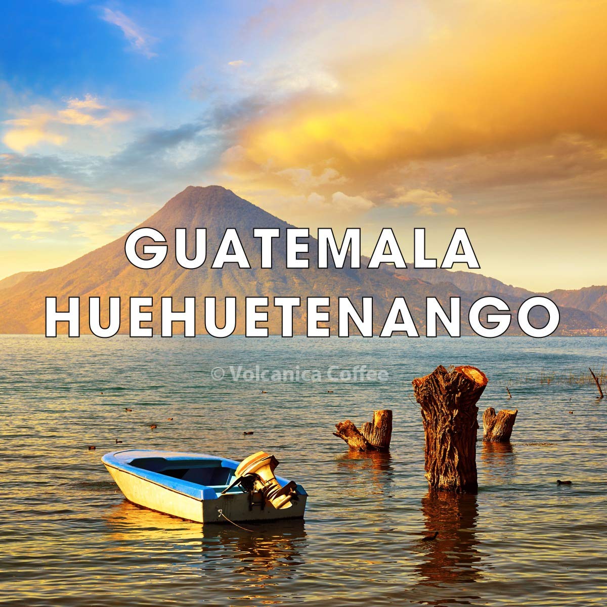 Guatemala Coffee, Huehuetenango, Ground | Medium Roast, Fresh Roasted, 5 lbs