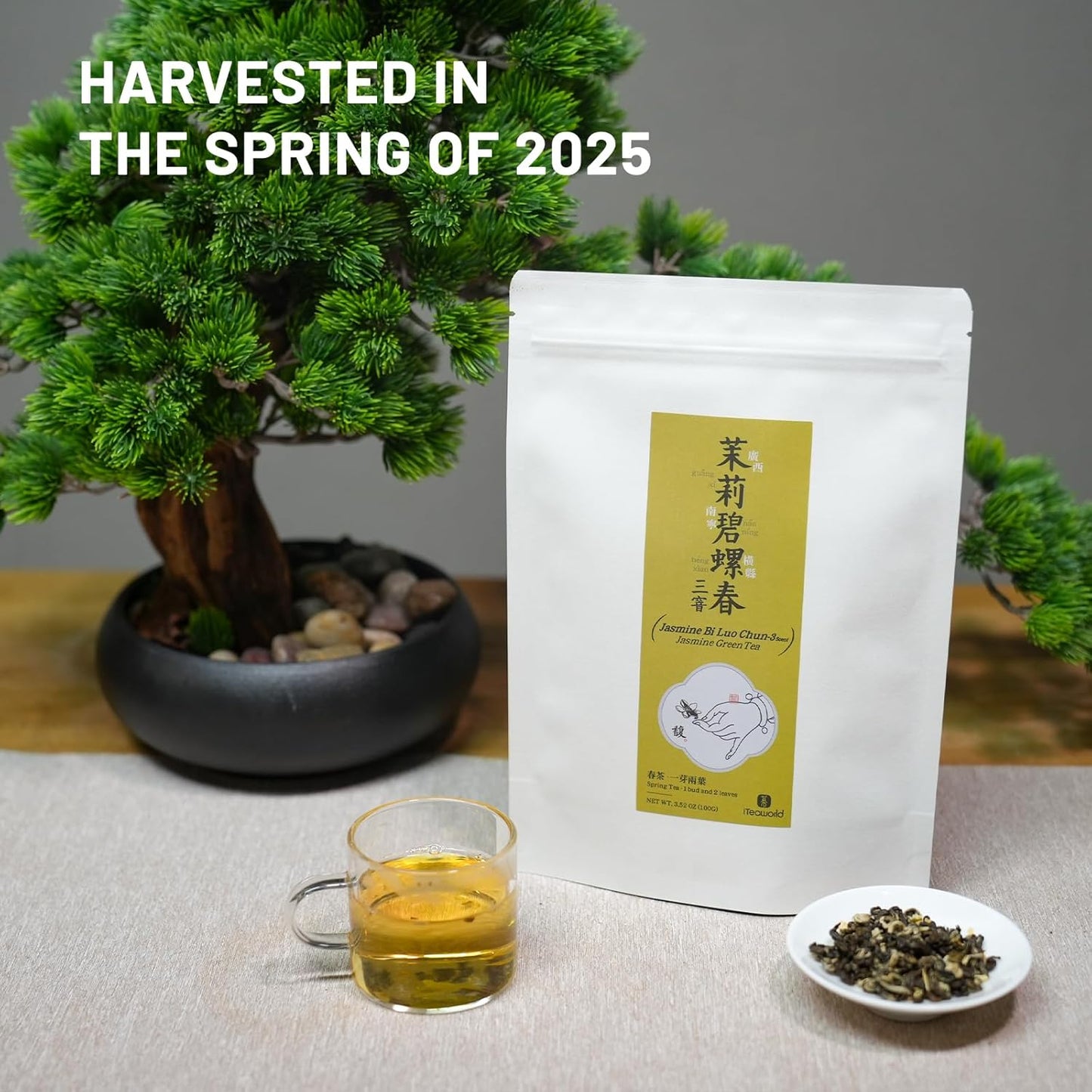 iTeaworld Authentic Triple-Scented Jasmine Green Tea, Subtle Floral Aroma, 2025 New Chinese Loose Leaf Tea, Low Caffeine, Sweet After Taste, Entry-level Jasmine Tea- 1 Pack (3.5oz)