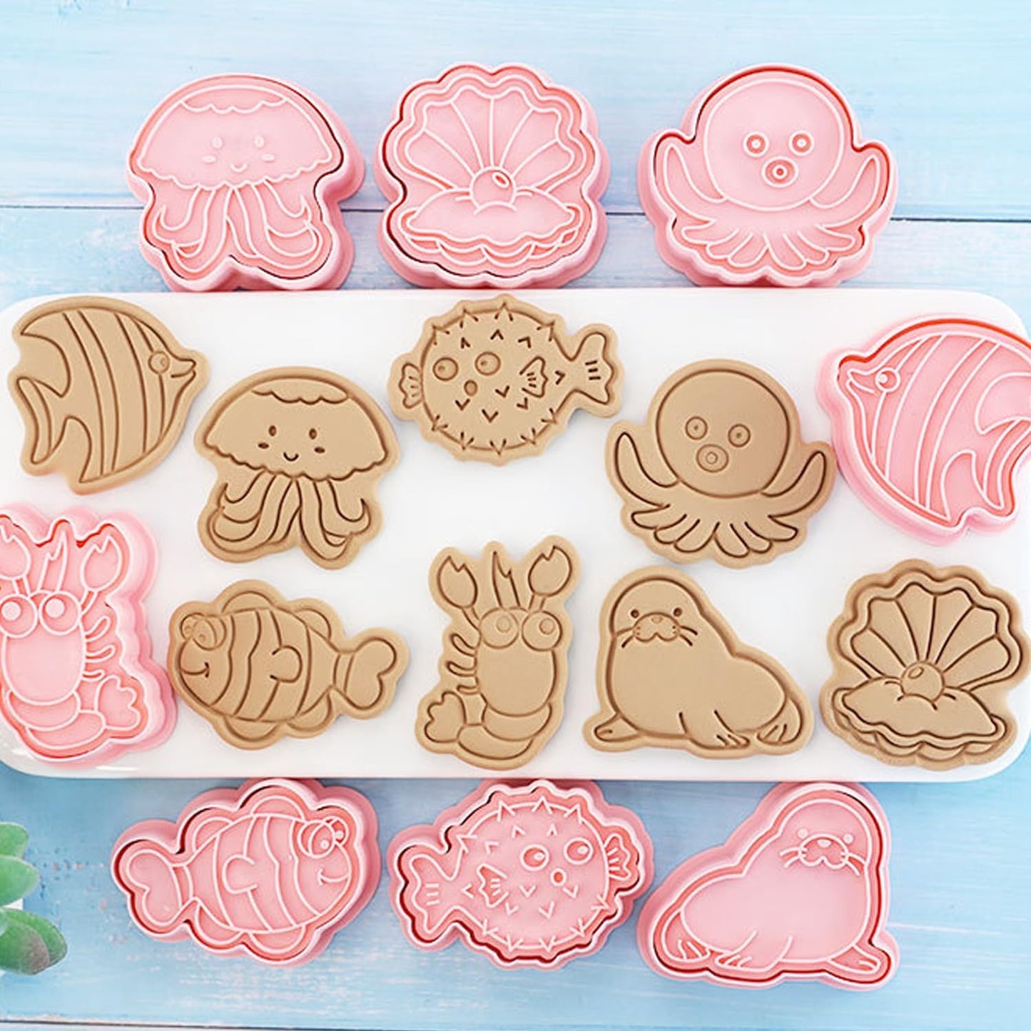 16Pcs Ocean Animal Cookie Cutters with Plunger Stamps Set, Fish, Dolphin, Starfish Plastic Biscuit Cutters, Sea Themed DIY Embossing Cutter for Biscuit Cookie Fondant Cheese Baking (F16)