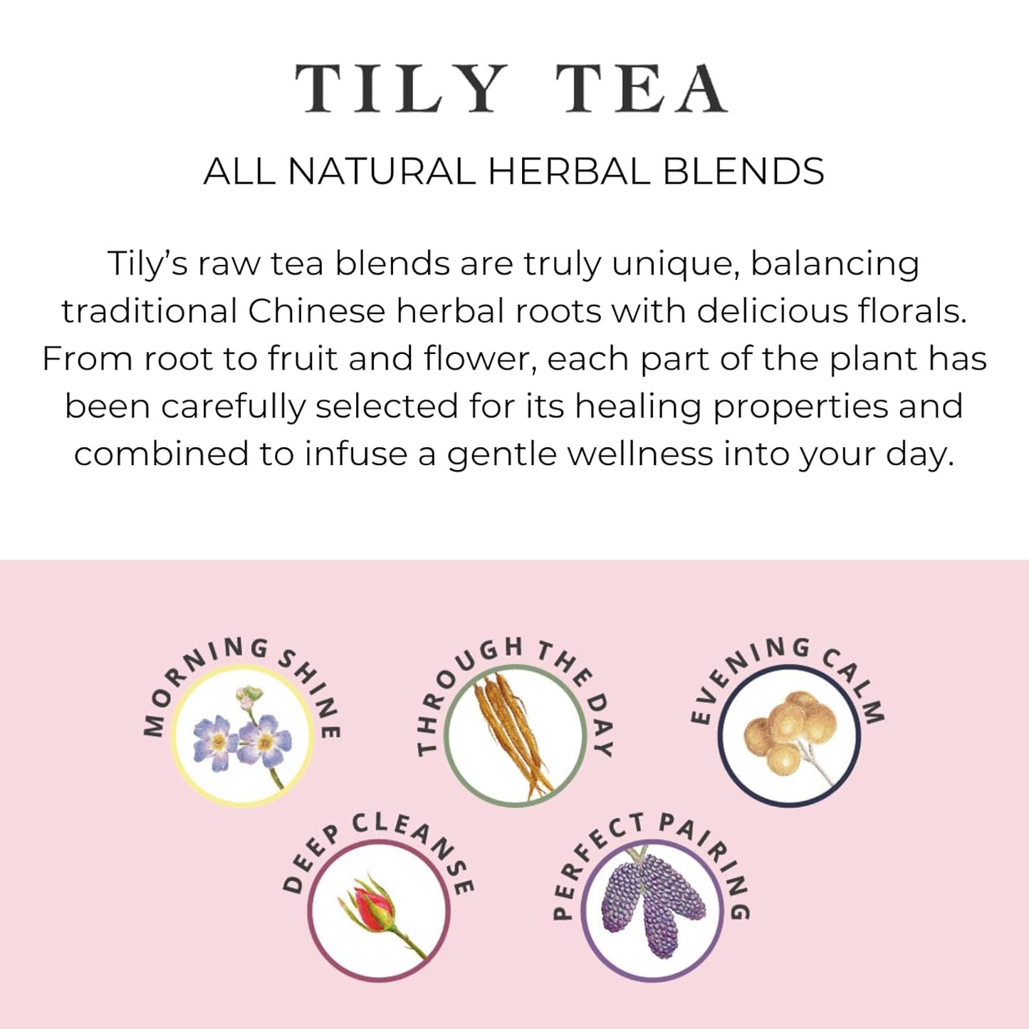 Tily Tea Assorted Herbal Tea Box - 5 Flavors of Caffeine-Free Tea - Morning Shine, Through the Day, Evening Calm, Perfect Pairing, Radiant Glow - 10 Plastic-Free Pyramid Tea Bags