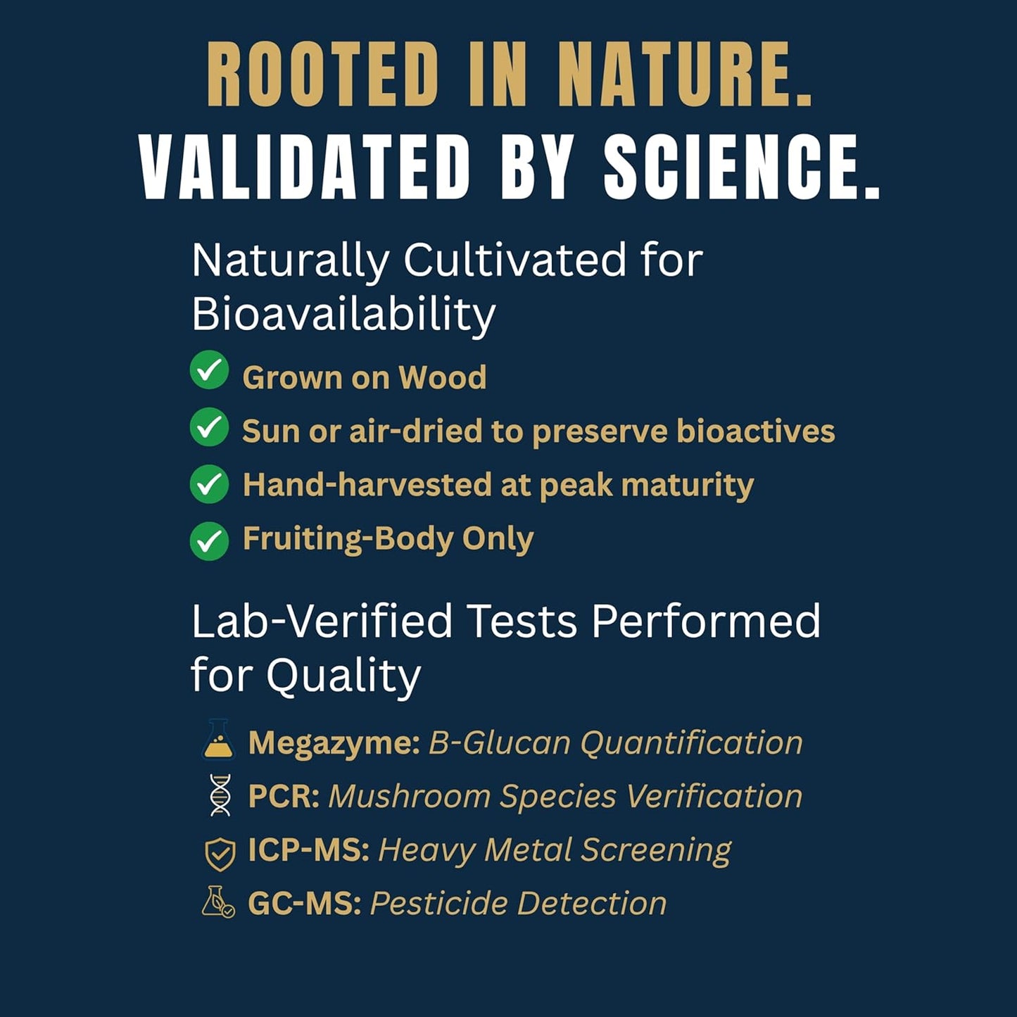 Monkey Brew Original - USDA Organic Mushroom Tea Drink - Non-Caffeinated Mushroom Coffee Alternative with Cacao Powder, Lion's Mane, Turkey Tail, Ashwagandha, Turmeric - Boosts Energy Focus & Immunity