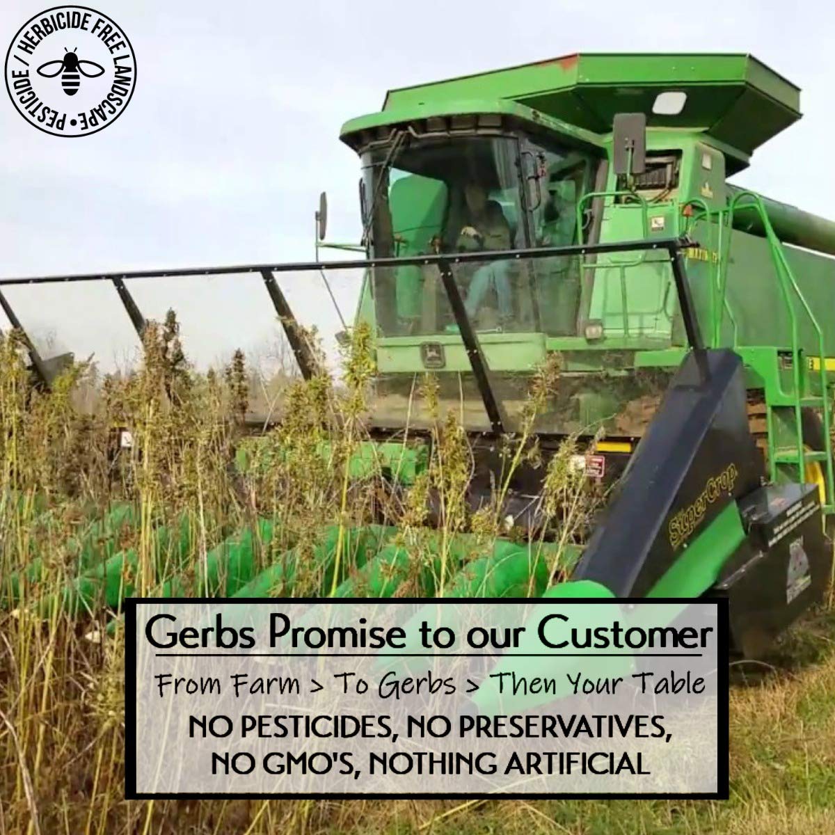 Ground Raw Pumpkin, Sunflower, Chia, Flax, Hemp Seed Meal by Gerbs - 4 LBS - Top 11 Food Allergen Free & Non GMO - Vegan & Kosher – Premium Full Oil Content Protein Powder