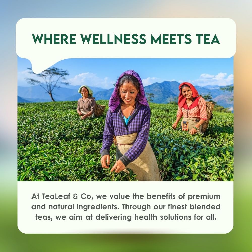 Tea Leaf & Co. Detox Kahwa Green Tea Bags (50 Count), Green Tea with Ginger, Tulsi & Rock Salt, Caffeinated, Natural Green Tea, Blended with Fresh Herbs and Spices, Gluten Free