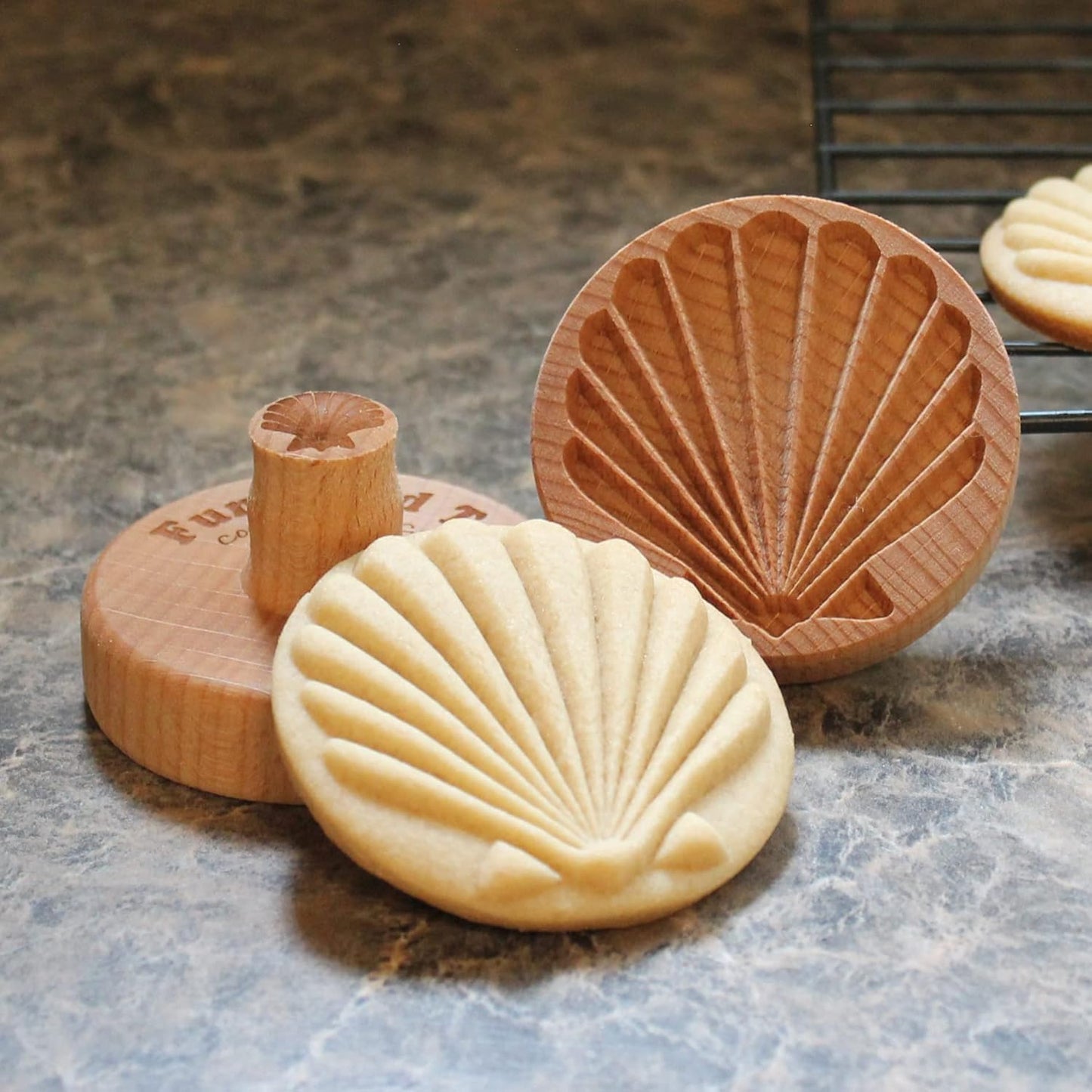 Wood Cookie Stamp, 2.5 Inch (Scallop Shell CS-040)