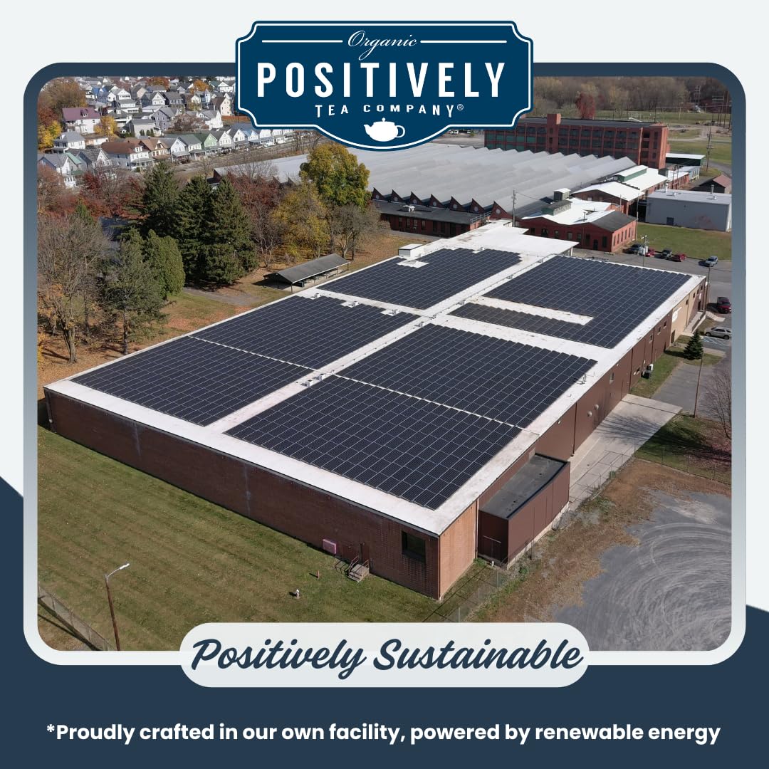 Organic Positively Tea Company, Chai Tea Sampler, Loose Leaf, 4 Ounce, 3 Pack