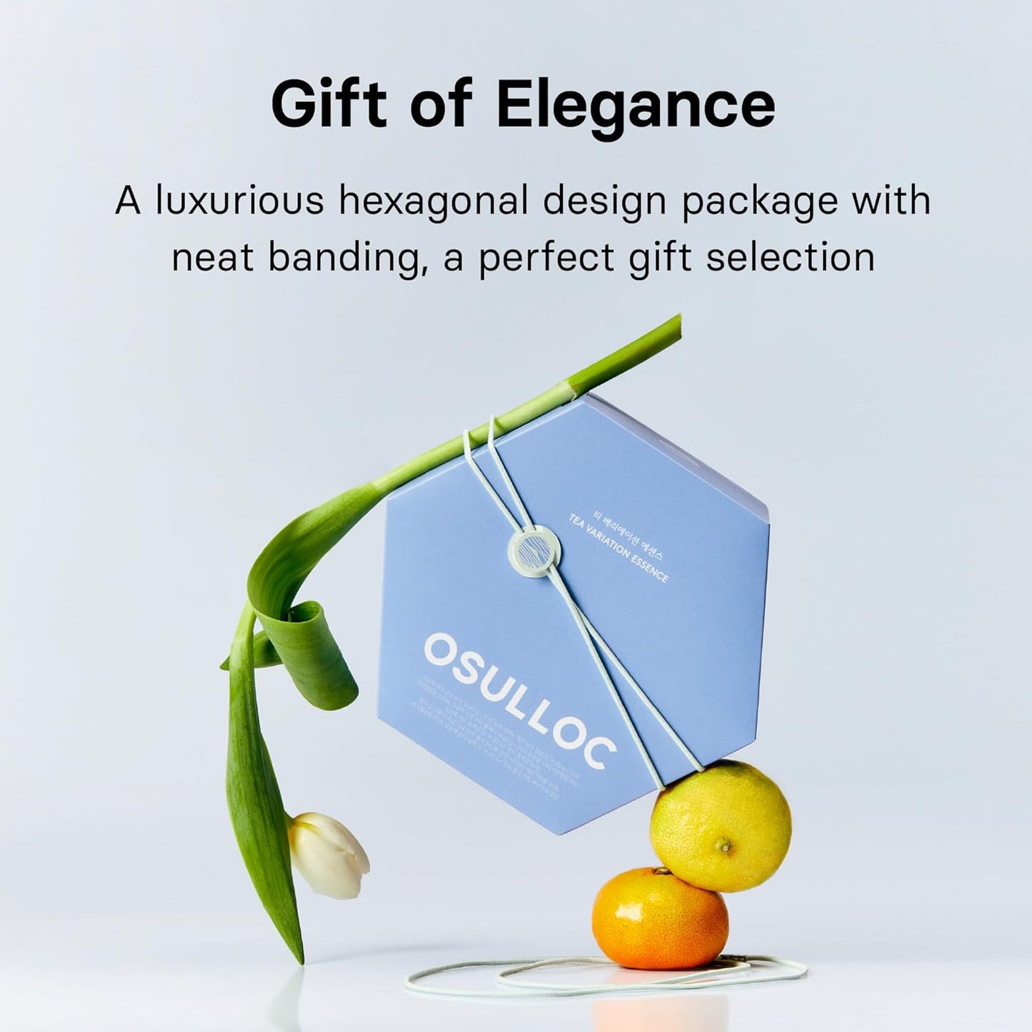 OSULLOC TEA VARIATION ESSENCE (42 Count, 6 Types x 7 ea), Assorted Tea bag Sampler, Exceptional Designed Variety Tea gift Set, Premium Tea sets from Jeju Island tea farm