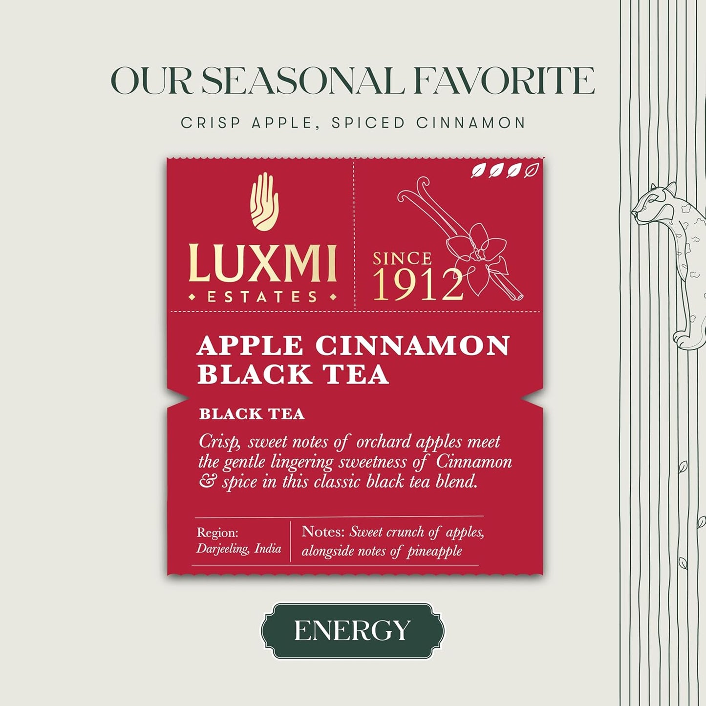 Luxmi estates Apple Cinnamon Black Tea 50 Tea Bags (100g) Pack | USDA Certified Premium Black Tea | Anti-Oxidants, Immunity Booster | 50 Cups Bulk Pack