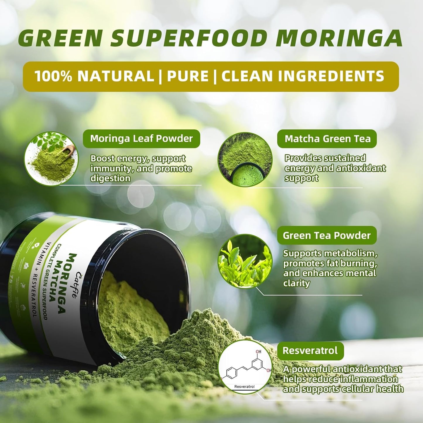 Matcha Moringa Powder – Superfood Blend with Green Tea & Resveratrol, Energy & Focus Support, Immune & Antioxidant Defense, Vegan, Gluten-Free, 8.8oz