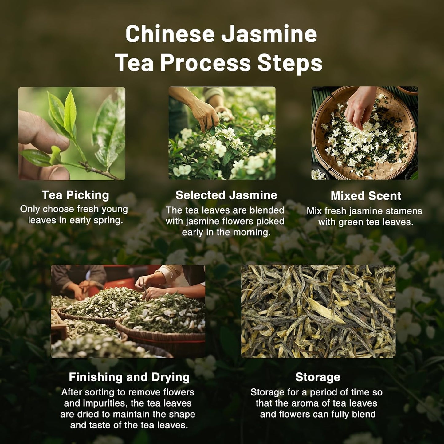 iTeaworld Authentic Triple-Scented Jasmine Green Tea, Subtle Floral Aroma, 2025 New Chinese Loose Leaf Tea, Low Caffeine, Sweet After Taste, Entry-level Jasmine Tea- 1 Pack (3.5oz)