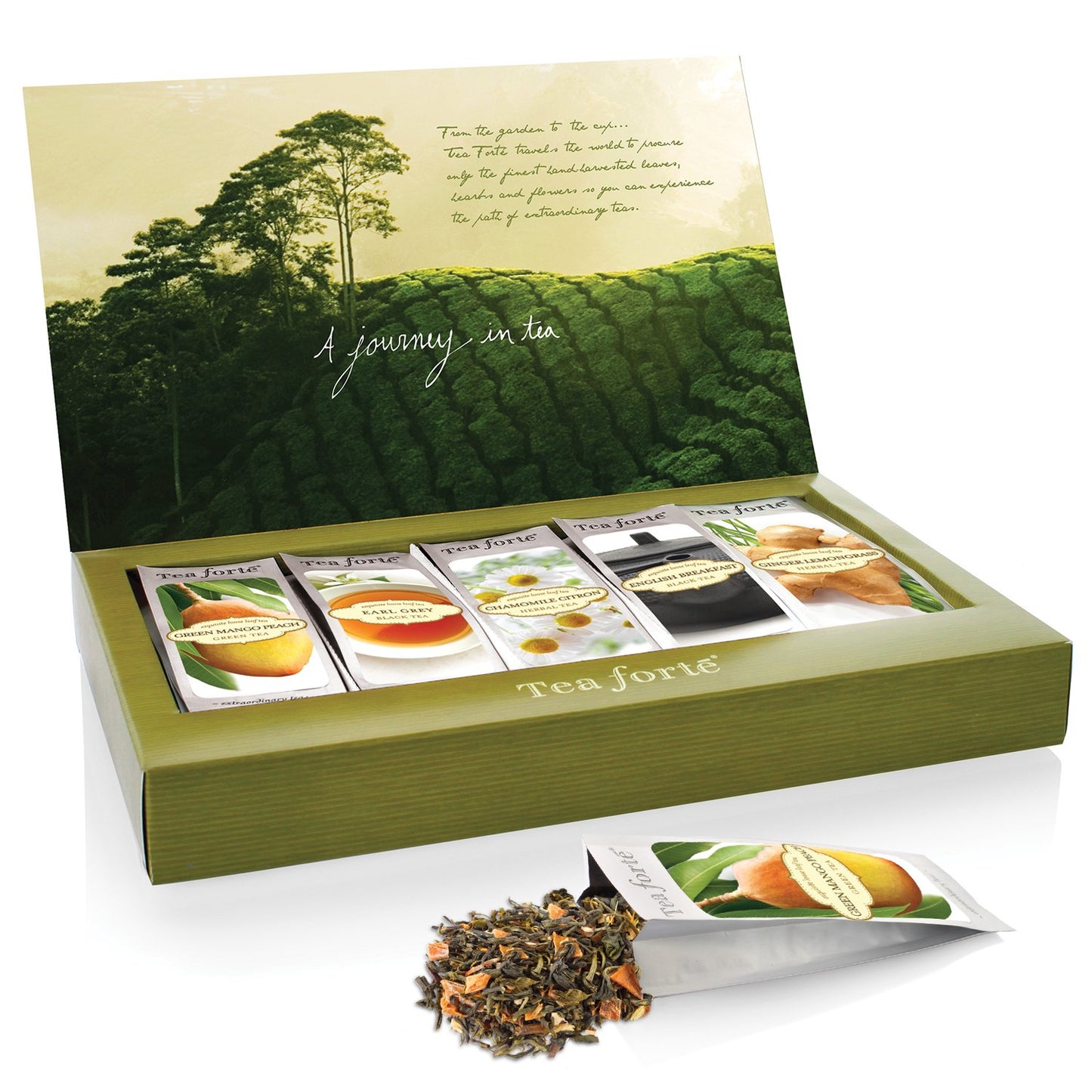 Tea Forte Tea Tasting Assortment Single Steeps Loose Leaf Premium Tea Gift Set Sampler, 15 Count 3 of Each Assorted Blends, Pre-Portioned Single Serve Pouches, Steeps 12 oz