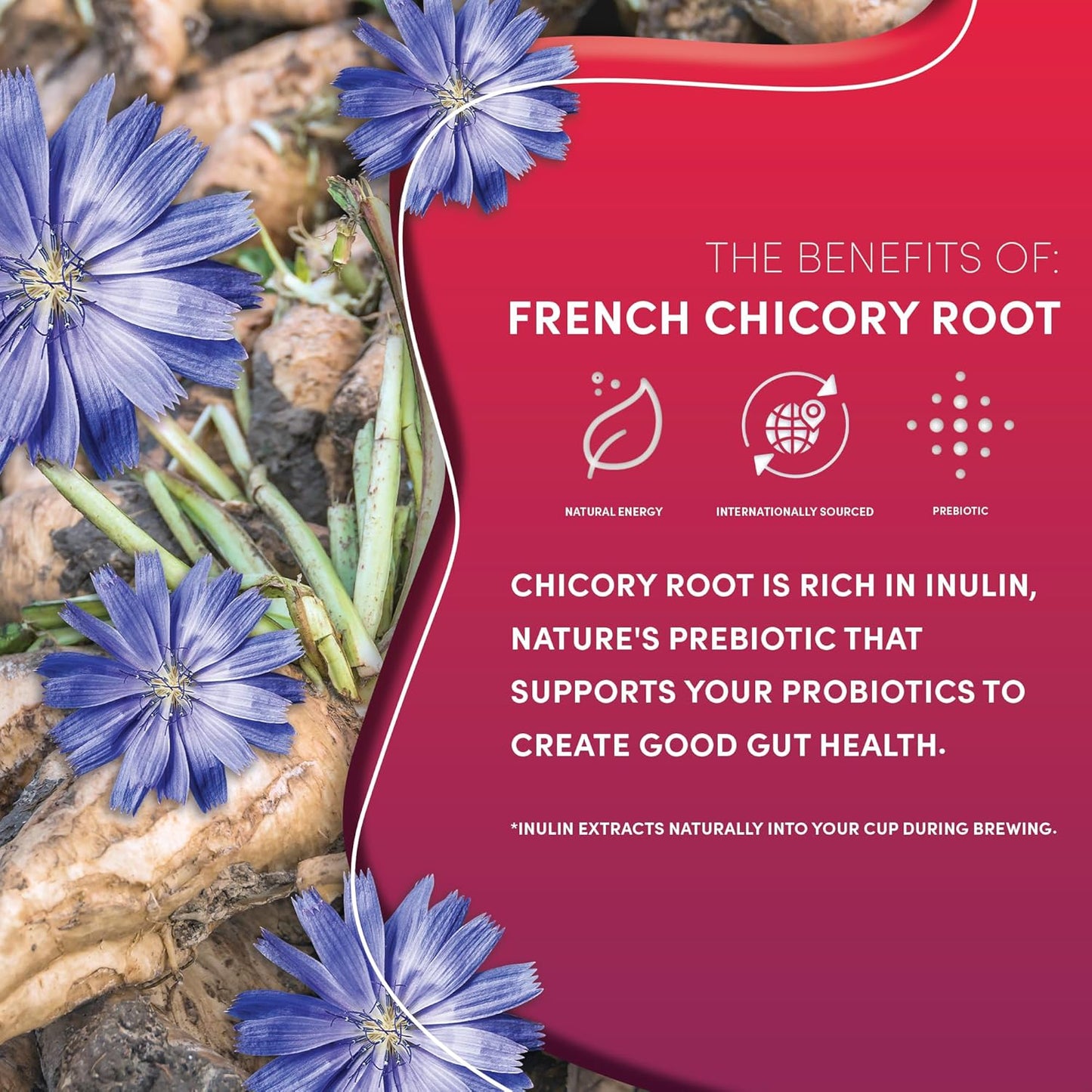 Teeccino Vanilla Nut Chicory Coffee Alternative - 11 Ounce - Ground Herbal Coffee That’s Prebiotic, Caffeine Free & Acid Free, Medium Roast, (Pack of 3)