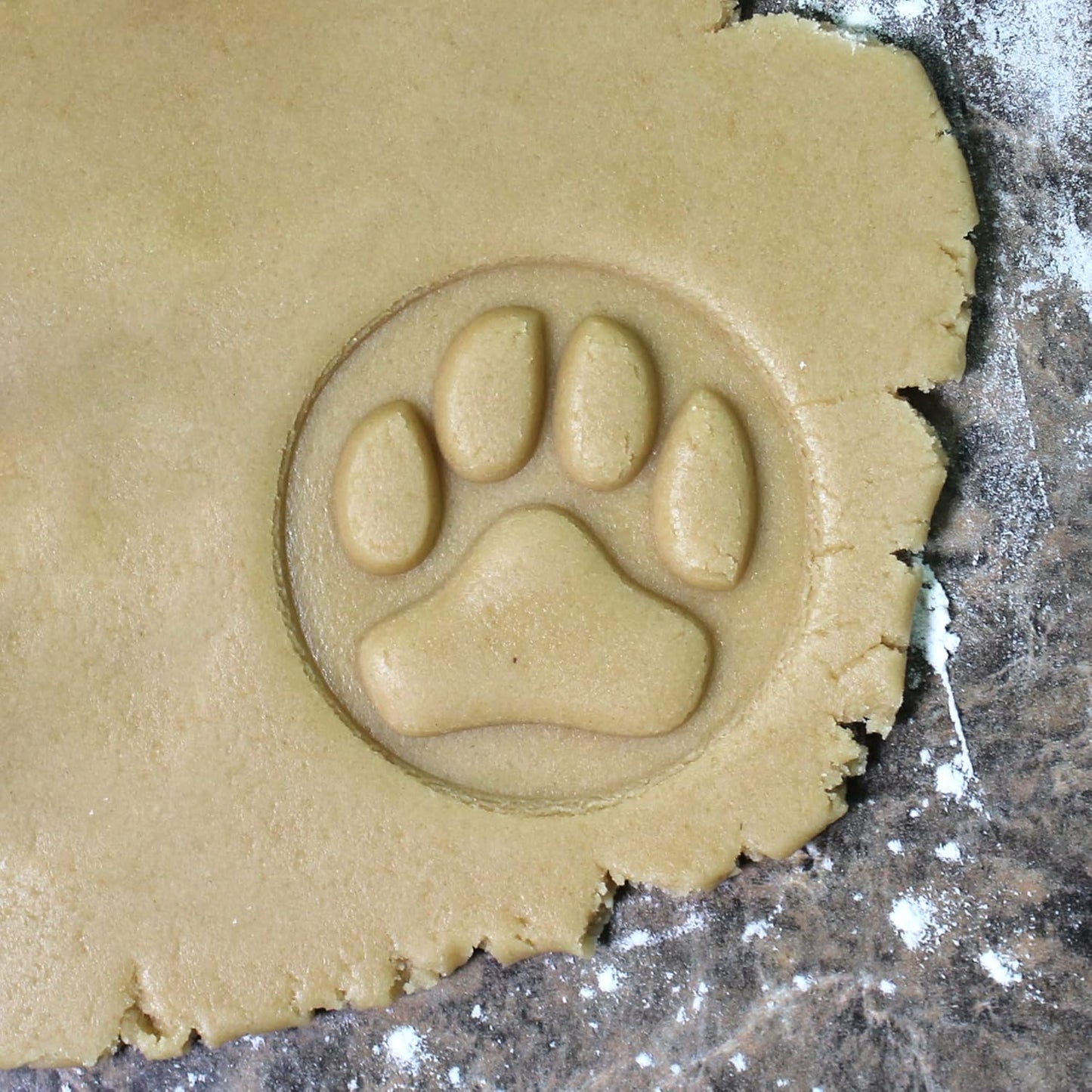 Wood Cookie Stamp, 2.5 Inch (Dog Paw CS-035)