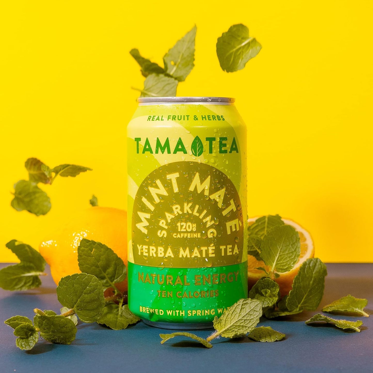 Sparkling Mint Yerba Mate by Tama Tea - Unsweetened Natural Energy Drink with Real Fruit & Herbs - Healthy Caffeine Drink Alternative - 120mg of Brain-Boosting Caffeine, 10 Calories - 12oz Pack of 12