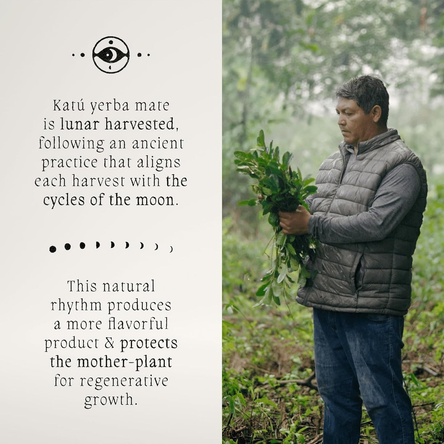 Katú Ka'a Teabags, Premium Organic Raw Yerba Mate Tea, Air-Dried, Unroasted, Smooth Traditional Taste, Natural Energy, 15 Sachets