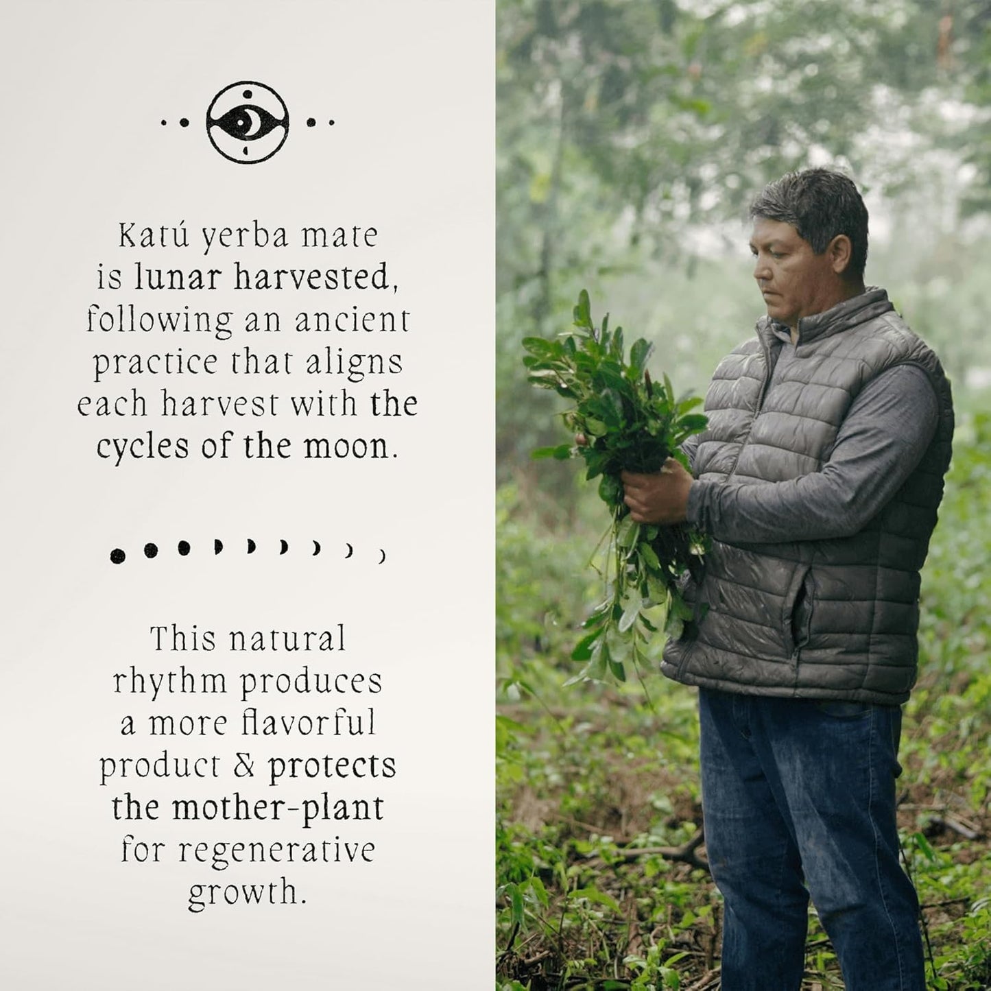 Katú Ka’a Yerba Mate Tea – 2-Pack (2 x 500g) – Organic Loose-Leaf, Air-Dried & Unroasted for Smooth Traditional Taste & Natural Energy – 1kg Total