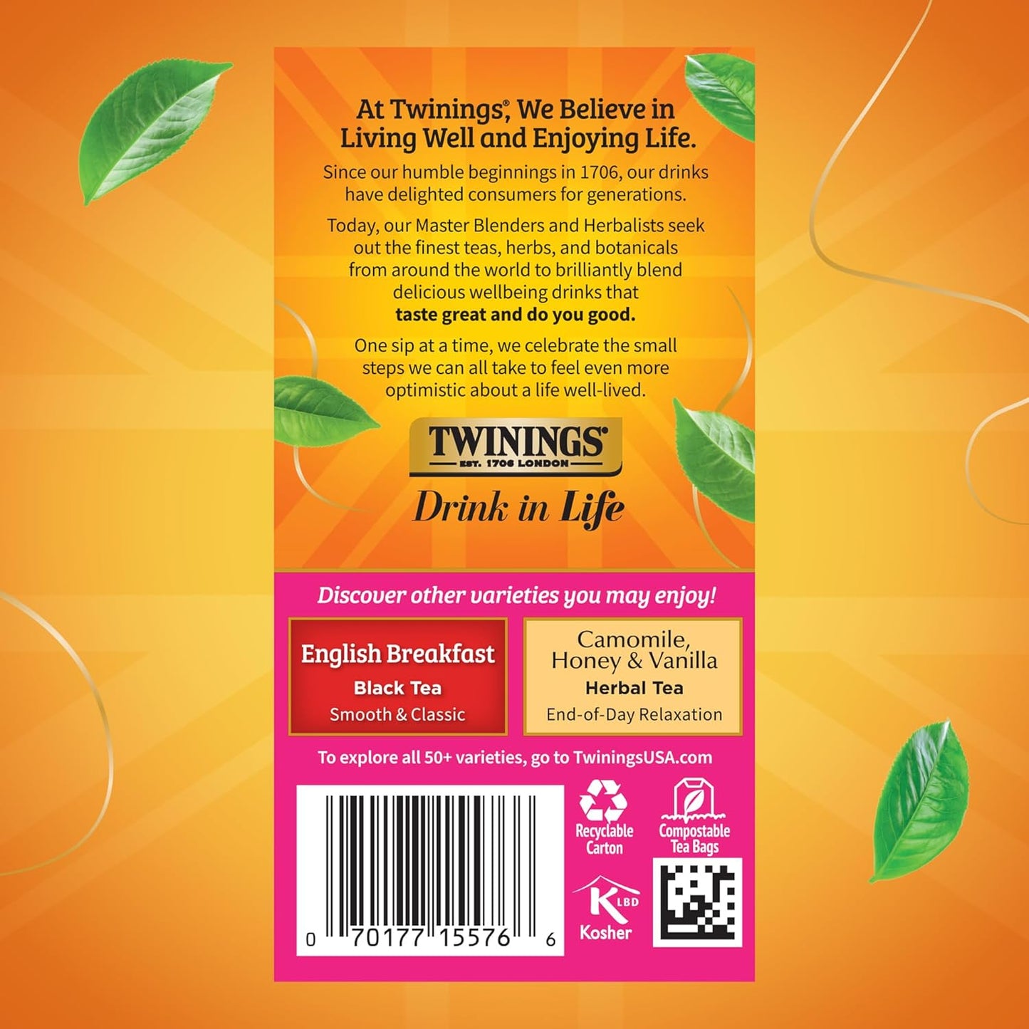 Twinings English Afternoon Black Tea Individually Wrapped Bags, 20 Count (Pack of 6), Smooth & Slightly Sweet, Caffeinated, Enjoy Hot or Iced, 120 Teabags