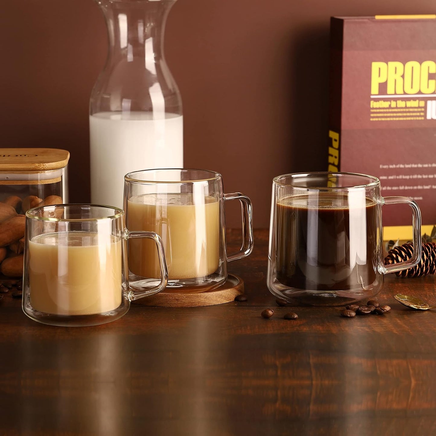 CNGLASS 15.2oz Glass Coffee Mugs,Double Wall Insulated Glass Mugs with Handle,Clear Espresso Mugs for Latte,Cappuccino,Tea Bag,Set of 2