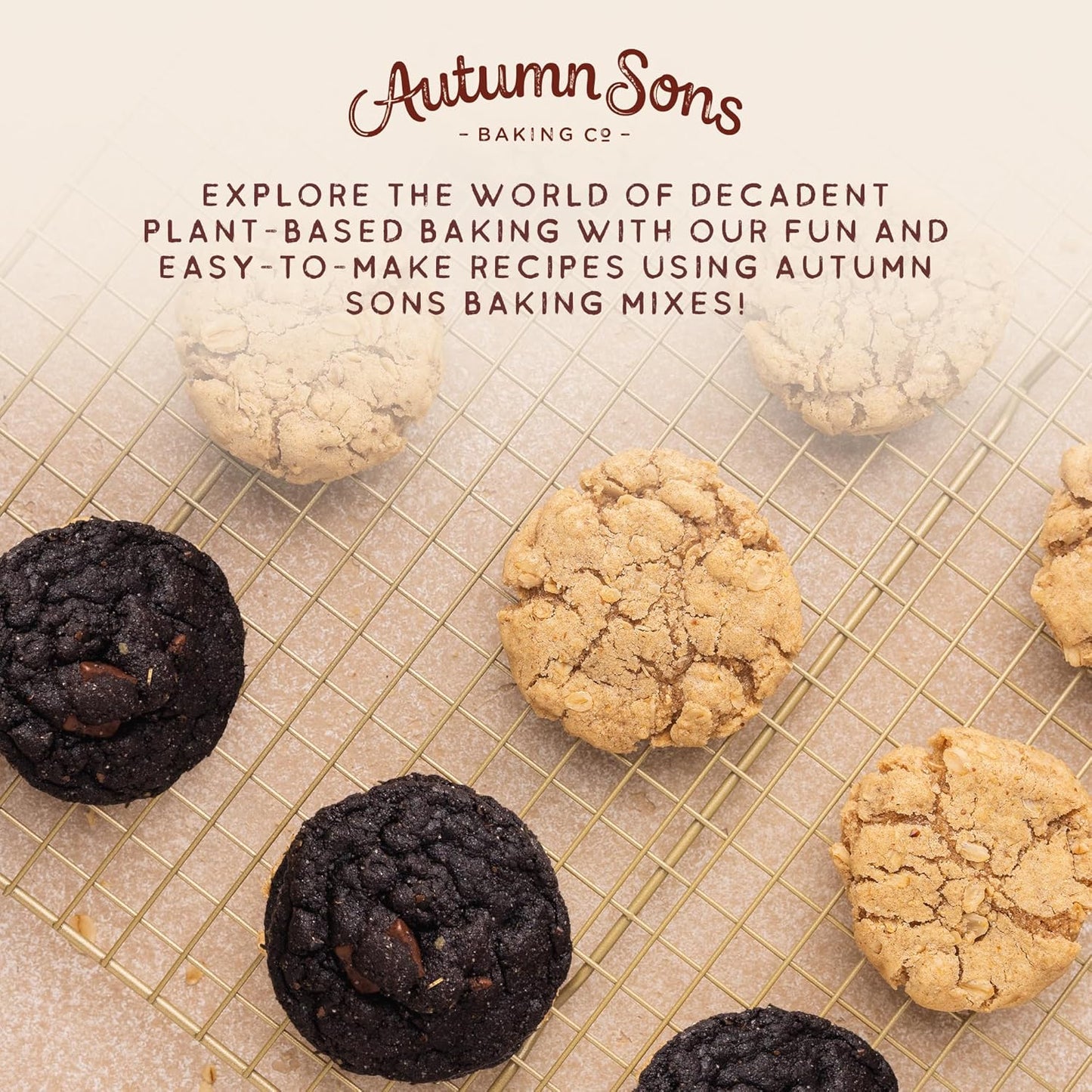 Autumn Sons Baking Co. Gluten Free Double Chocolate Chunk & Oatmeal Cinnamon Cookie Mix Combo Pack. Vegan Plant Based Baking Mix. Free From 11 Common Allergens. 9.3 oz (Pack of 2)